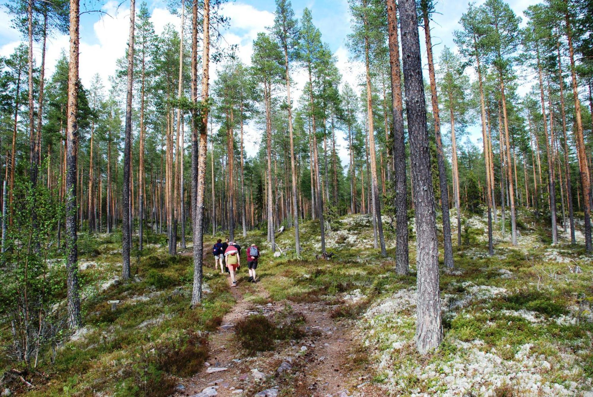 16 - Fulufjellets Nasjonalparker - Natur-, Dyre- Og Fugleopplevelser Ljordal Exterior photo