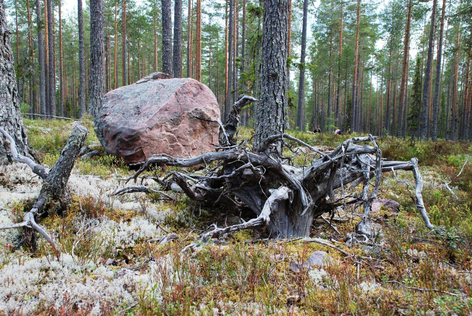 16 - Fulufjellets Nasjonalparker - Natur-, Dyre- Og Fugleopplevelser Ljordal Exterior photo